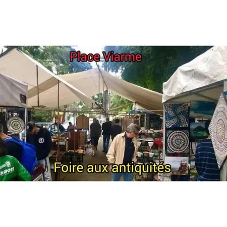 Апартаменты Petit Nantais