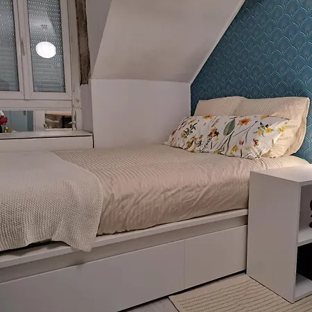 Petit Nantais Apartment Nantes